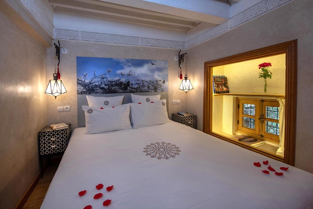 Comfort Suite